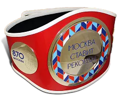 Чемпионский пояс