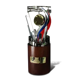 Награда "Золотая шайба"